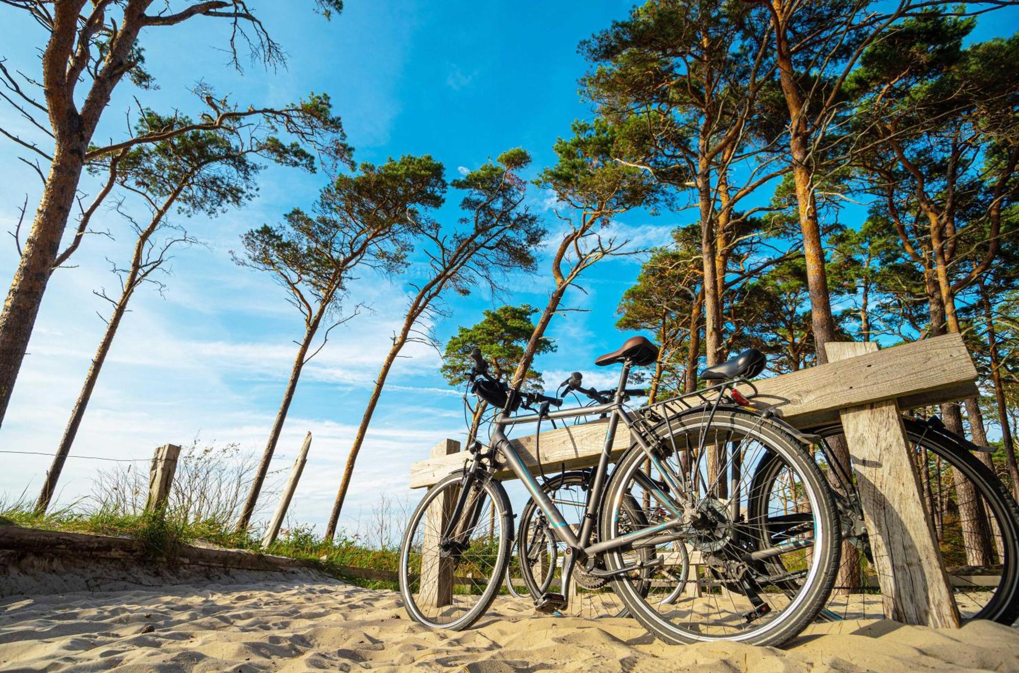 Meeresbrise Im Ostseeheilbad Zingst Buitenkant foto